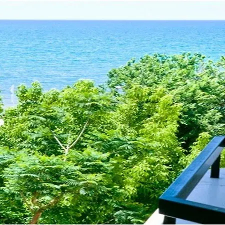Simus 시데